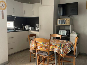 Charmant appartement climatisé Proche des Thermes - FR-1-503-166
